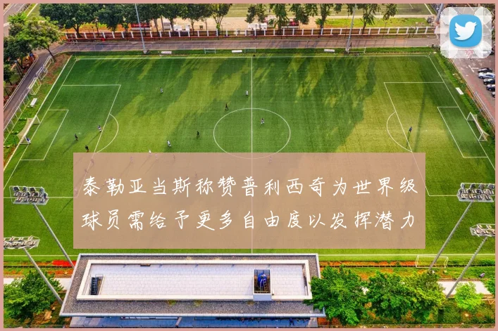 泰勒亚当斯称赞普利西奇为世界级球员需给予更多自由度以发挥潜力