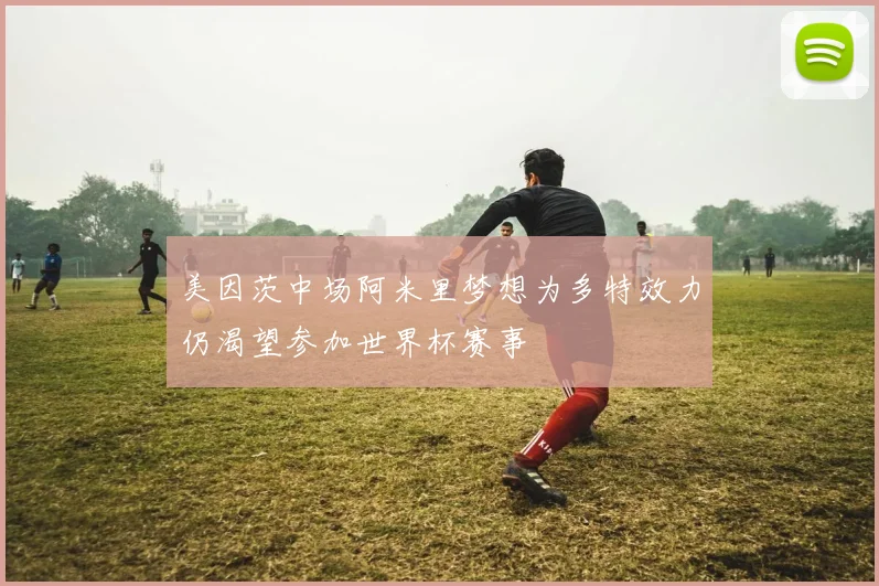 美因茨中场阿米里梦想为多特效力仍渴望参加世界杯赛事