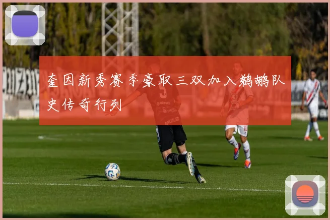 奎因新秀赛季豪取三双加入鹈鹕队史传奇行列