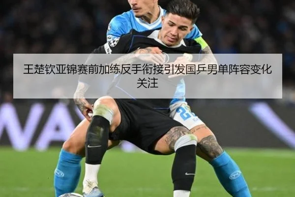 王楚钦亚锦赛前加练反手衔接引发国乒男单阵容变化关注 - Leyu